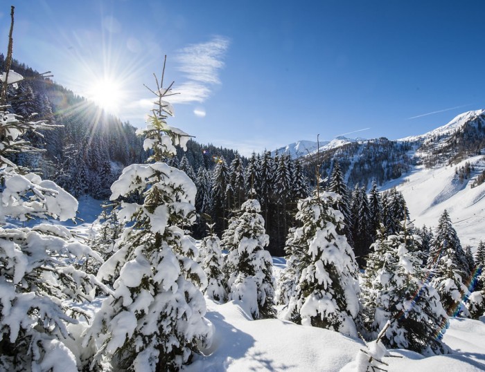 Romantische Winterlandschaften in Zauchensee, im Hintergrund perfekte Pisten © Altenmarkt-Zauchensee Tourismus