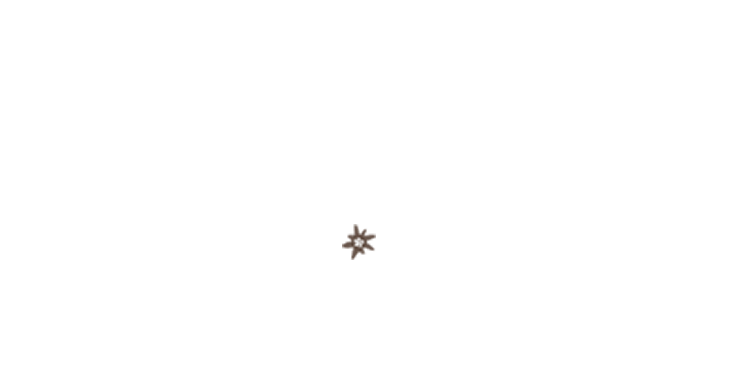 Anreise nach Altenmarkt-Zauchensee